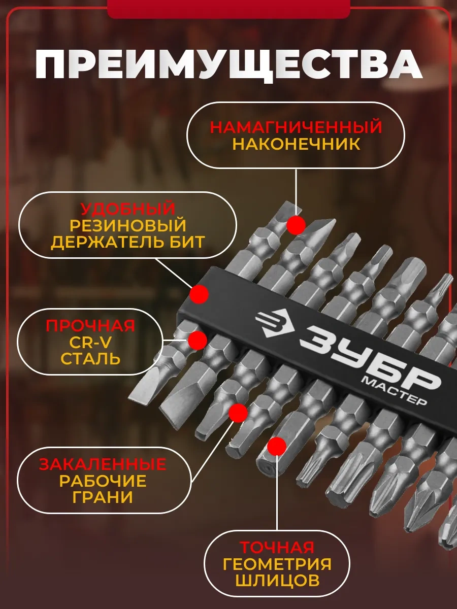 Zubr 10 Adet Mx-10 Vidalı Tornavida Ve Matkap Ucu İki Taraflı Bitler 211934997