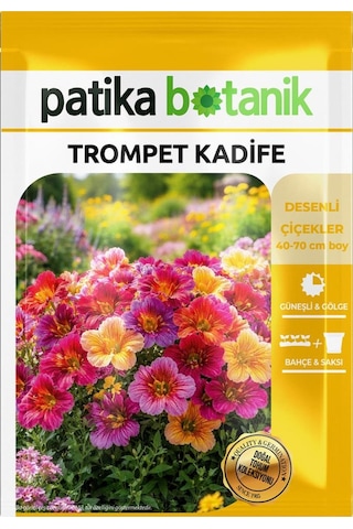 100 Adet Trompet Kadife Çiçek Tohumu Salpiglossis Sinuata