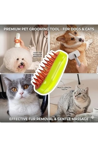 Focal Kedi Tarağı Buharlı