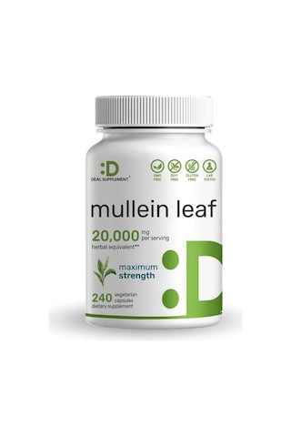 Mullein Leaf 20,000mg Herbal Equivalent, 240 Veggie Capsules