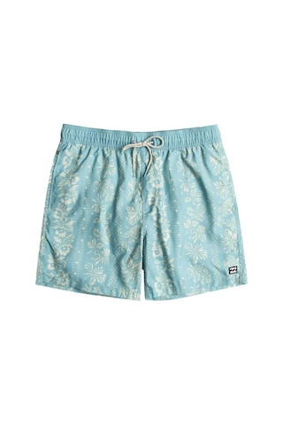Billabong Vacay Lb Erkek Renkli Volley Short Çok Renkli