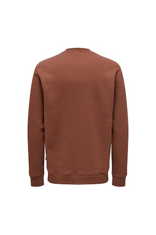 Only & Sons Onsdawson Reg Crew Vd Çok Renkli