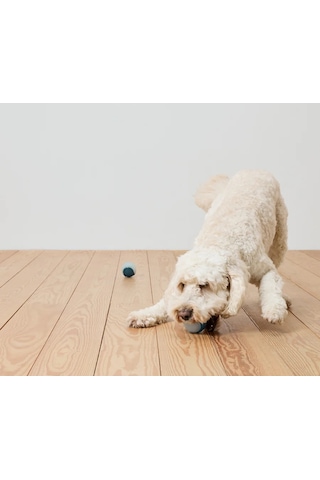 Köpekler İçin Işıklı Oyun Topu, 2 Adet