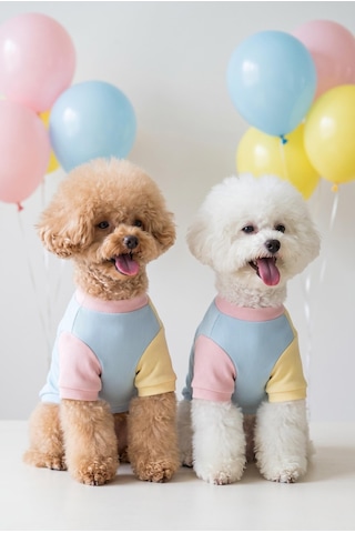 Bubbles Pastel Köpek Tişörtü Cepli Şeker Renkli Yazlık Köpek Kıyafeti Küçük Irklar İçin