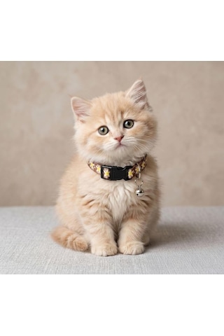 Patibon Premium Galaxy Harmony Kedi Boyun Tasması, Kahverengi, 11 X 35 Cm, Özel Koleksiyon