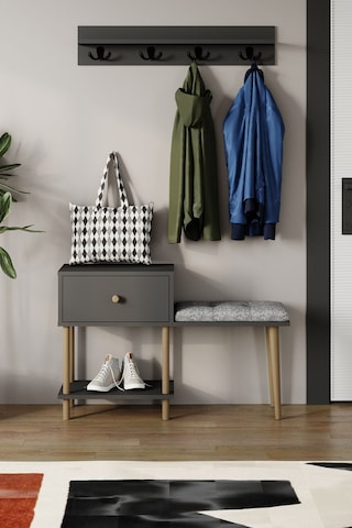 Puflu Ayakkabılık Düşer Kapaklı Ayakkabılık Raflı Ayakkabılık Iki Raflı-antrasit Antrasit