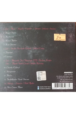 Plak Değildir Cd Dir Cd Yasemin Göksu Ah Cd
