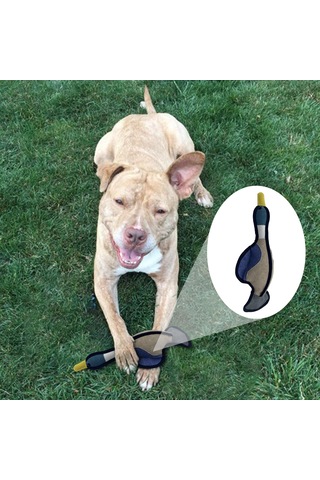 Gıcırtılı Köpek Oyuncakları Çiğneme Oyuncakları Dayanıklı Malzeme Isırık Dayanıklı Köpek Yavrusu Eğlence Oyuncak Küçük Orta Büyük Cins