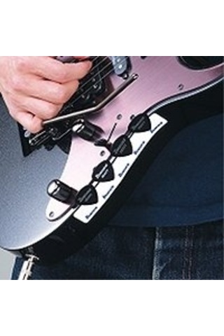 Ibanez Phı01 Pena Tutucu