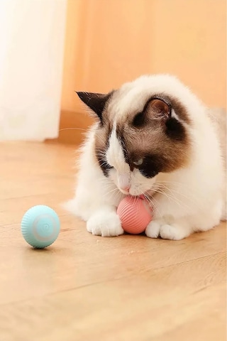 Markapet Gravitational Şarjlı Otomatik Haraketli Kedi Oyun Topu 4 CM