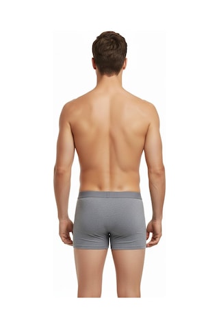 İki Yıldız Erkek Likralı Boxer Düz Renk Bgl-st05007 Gri