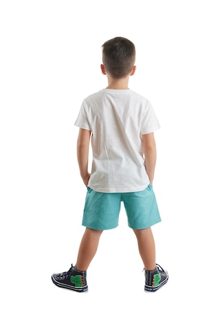 Denokids Timsah Erkek Çocuk T-shirt Gabardin Şort Takım Çok Renkli