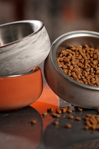 Beton Kedi Ve Köpek Mama/su Kabı Paslanmaz Çelik İç Hazneli, Devrilmez Ve Hijyenik Besleme Kabı