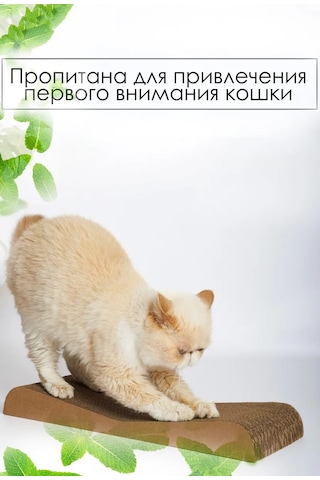 Zver'e Moe Karton Kedi Tırmalama Tahtası Dune 451638792