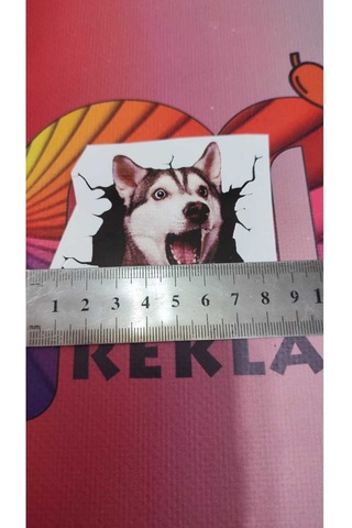 3d Desenli Husky Köpek Figürlü Sticker Etiketi