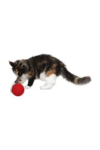 Kör Kediler İçin Çıngıraklı Kırmızı 10 CM Yumak Kedi Oyuncağı