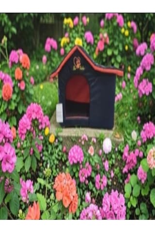Dış Mekan Su Geçirmez Kedi Ve Köpek Evi Siyah 53x35x39