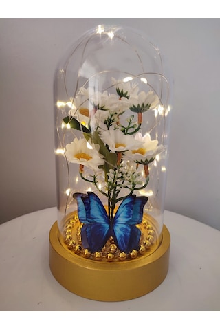 Işıklı Papatya Buket Fanus