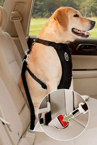 4 Adet Kedi Köpek İçin Araba Emniyet Kemer Tokası
