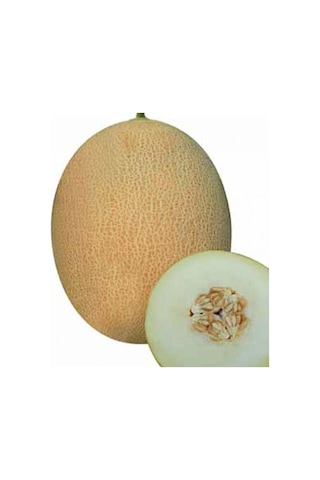 Ananas Kavun Tohumu 15 Adet Tohum Bal Kavun