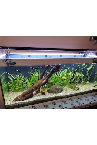 Armatürk 1200L Akvaryum Armatürü 120 CM