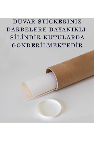 Harita Sepeti Türkçe Dünya Ve Türkiye Haritası Eğitici Ülke Bayraklı Çocuk Odası Genç Odası Duvar Sticker B-3882bayrak-a-60 X 105 CM