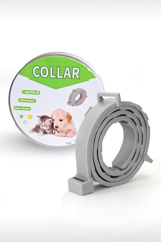 Kedi Anti Pire Kene Önleyici Tasma 38 Cm Pire Önleyici Tasma Kene Önleyici Tasma