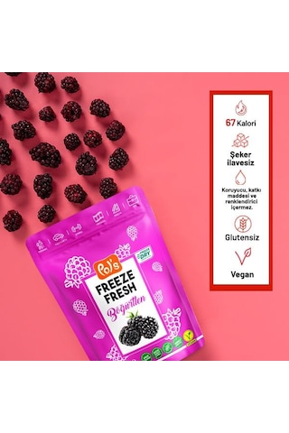 Pol S Freeze Fresh Dondurularak Kurutulmuş Böğürtlen 20 Gr 20 G