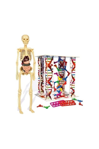 Clementoni İlk Keşiflerim Insan Anatomisi