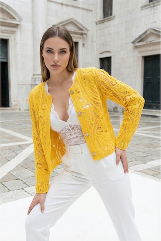 Sayzen Your Shine Dantel Desenli Gold Düğmeli Basic Ceket Shn-2602-tg Sarı