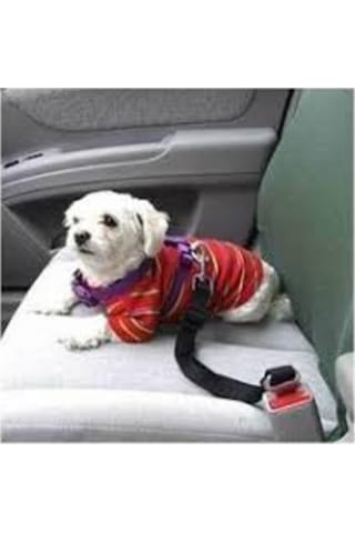 Ankaflex Evcil Hayvan Köpek Araç Emniyet Kemeri