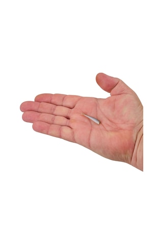 Berkley Gulp Alive Minnow 1'' 2.54 Cm Lrf Silikon Yem Smelt