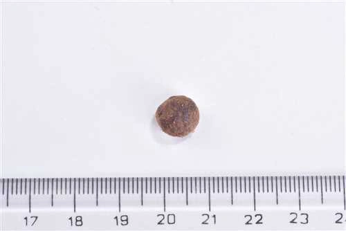 Brit Care leri Olan Yetişkin Kediler İçin, Tahılsız, Hipoalerjenik, Larva Ve Taze Ringa Balıklı Kuru Mama 7 Kg