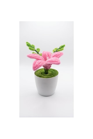 Şönil Pembe Lilyum Mini Saksı Minimal Saksı
