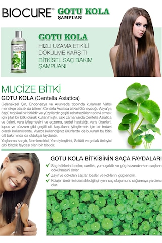 Biocure Gotu Kola Saç Dökülme Karşıtı ve Hızlı Uzama Etkili Bitkisel Bakım Şampuanı 400 ML