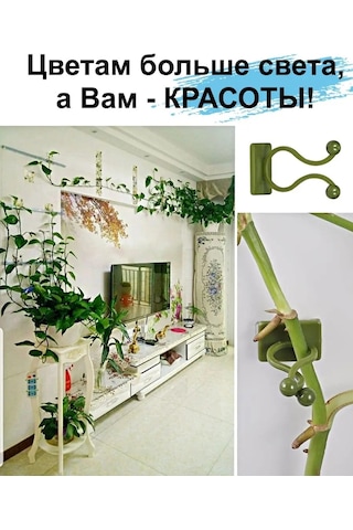 Greduha Bitkiler İçin Duvar Tipi Destek Klipsi, 10 Adet 169153203