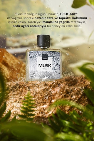 Musk Rain Erkek Parfüm Edt 75 Ml. Üçlü Paket Odunsu
