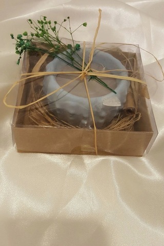 Yılbaşı Kaktüs Saksı Mum Yeni Yıl Mumu Noel Kader Kısmet Mumu Hediyesi Çok Renkli