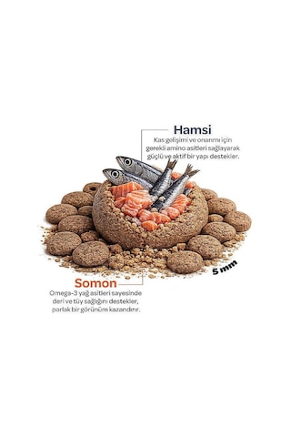Obivan Sterilised Somonlu Ve Hamsili Kısırlaştırılmış Kedi Maması 2 Kg