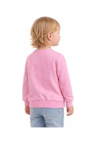 Kız Çocuk Happy Sweatshirt Bgl-st05270 Pembe
