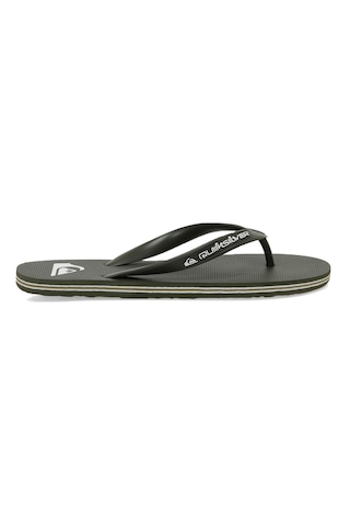 Quiksilver Molokaı Core Bej Erkek Parmak Arası Terlik Bej