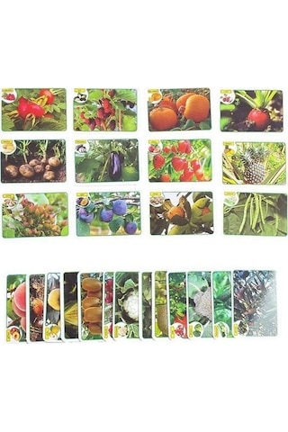 İlk 50 Meyve - Sebze Flash Cards Hafıza Kartları