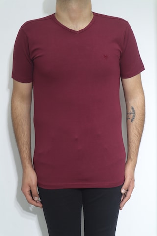 Santa Dmctekstil Erkek Düz Spor Kesim Dar Kalıp V-yaka T-shirt Bordo