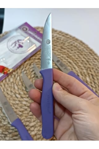 Sürdövbisa 61010 6'lı Meyve Seti Sivri Uç Mor