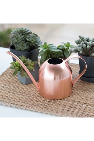 Monyee Gül Altın Rengli Çelik Sulama Kettle, 500ml, Dış Cepheli, Bitki Bakımı İçin Uygun, Dayanıklı Ve Pratik