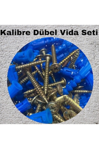 Kalibreli Dübel Ve Vida Seti 100 Adet Pul Başlı, 8mm Dübel 8 MM