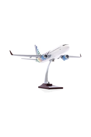 Zekupp - Maket Uçak - Boeing 737-800 1/100 - RENKLİ ÖZEL TASARIM Model Uçak