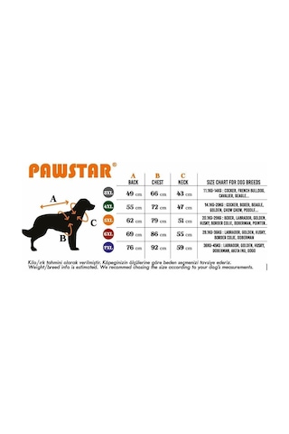 Pawstar Sarı Pluvia Büyük Irk Yağmurluk