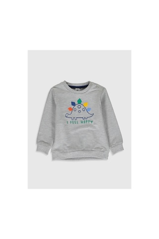 LC Waikiki Cw Baby Beyaz Bisiklet Yaka Uzun Kollu Baskılı Erkek Bebek Sweatshirt Off Whıte Melang