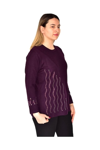 Kadın Triko Kazak Bgl-st03374 001